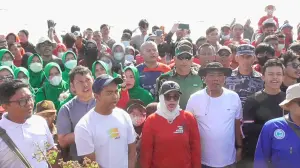 Wali Kota Cirebon Turun Bersihkan Pantai Kesenden, Ajak Warga Bersama Jaga Lingkungan