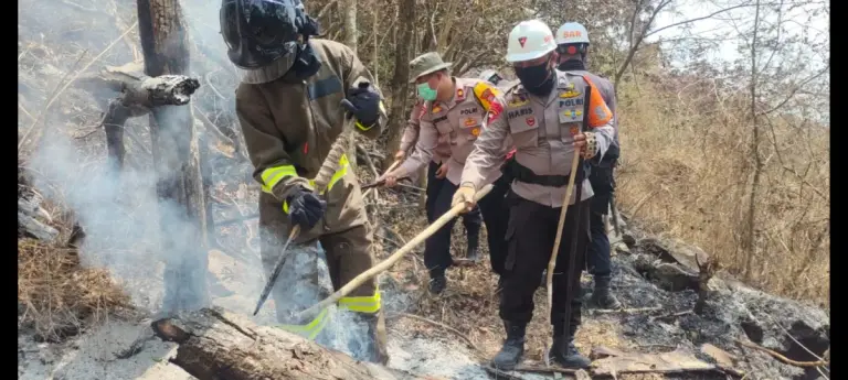 Kawasan TNGC Kuningan Kembali Terbakar, SAR Batalyon C Pelopor Satbrimob Polda Jabar Bantu Proses Pemadaman