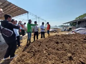 Inovasi Bidang Pertanian, Distan Kabupaten Cirebon Terapkan Sistem  'Supersonik'