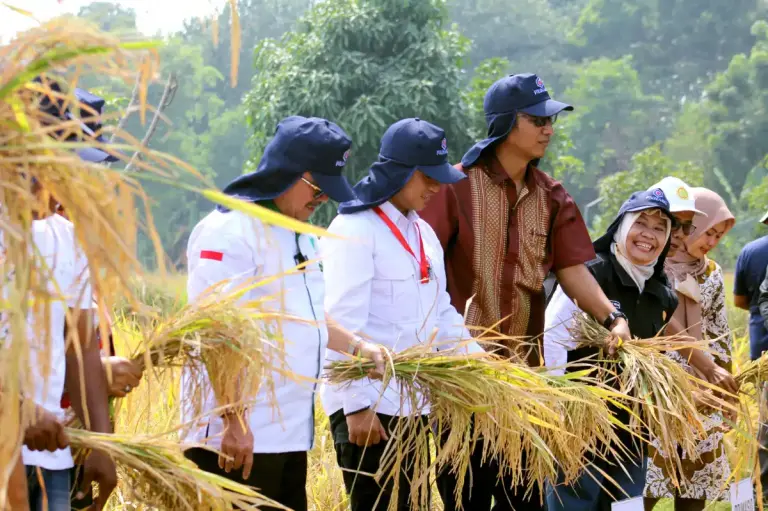 Kabupaten Cirebon Berhasil Kembangkan Sistem Pertanian Organik, Bupati Imron: Bisa Dijadikan Standar Baru bagi Petani