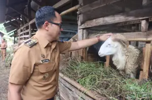 Persiapan Iduladha, Kabupaten Cirebon Melimpah Stok Hewan Kurban