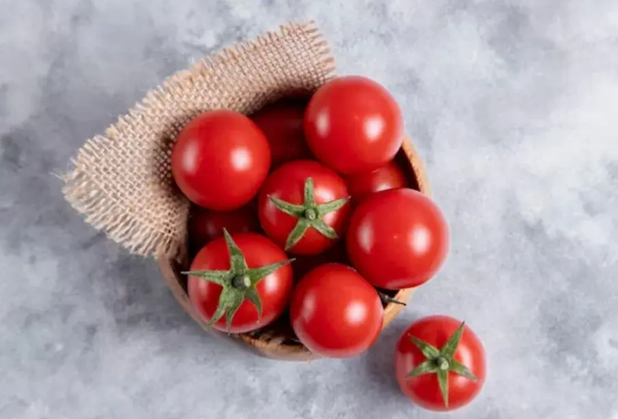 Mitos Atau Fakta? Sering Makan Tomat Bisa Sebabkan Usus Buntu