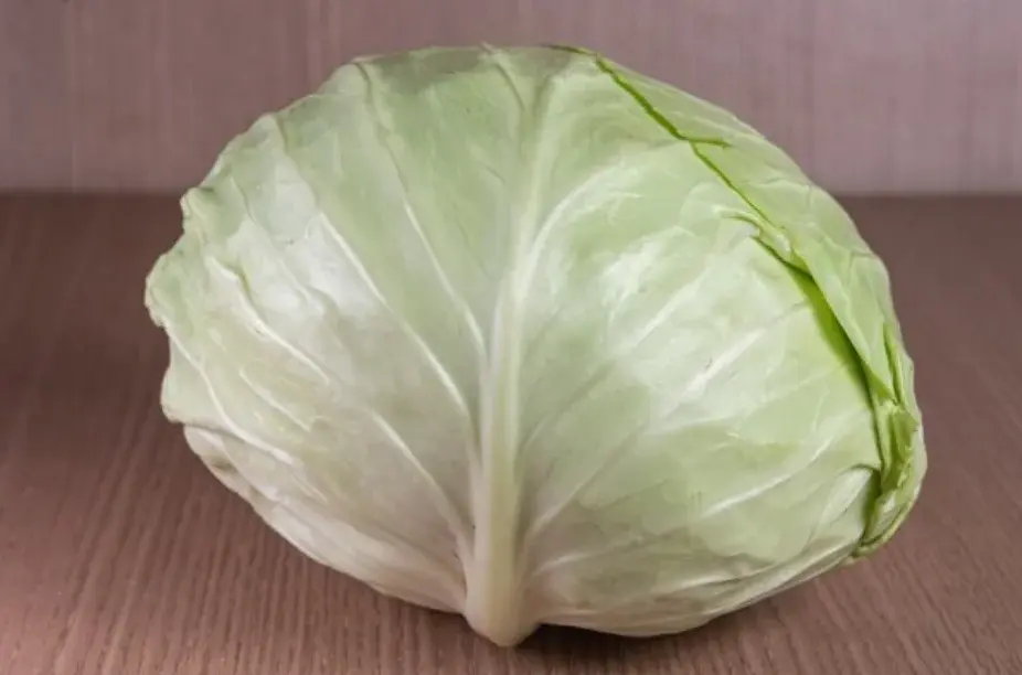 Bahaya Tersembunyi Mengancam Kesehatan di Balik Nikmatnya Kol Goreng