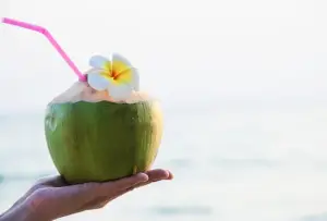 Segar dan Sehat: 5 Manfaat Luar Biasa Air Kelapa untuk Tubuh