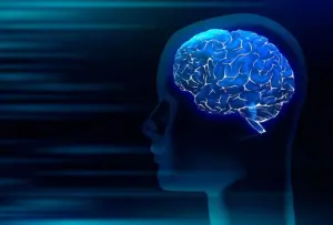 Kecerdasan Otak dengan 5 Makanan Ini