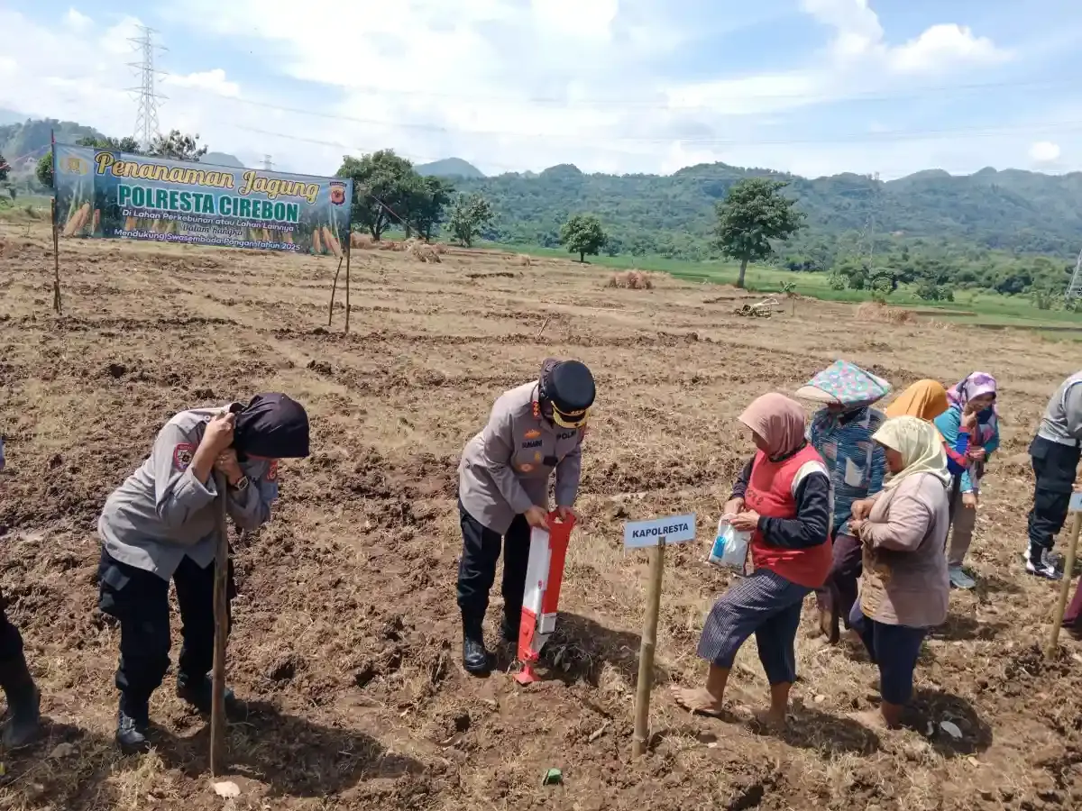 Ajak Masyarakat Dukung Swasembada Pangan, Lahan Tidur Disulap Jadi Ladang Jagung