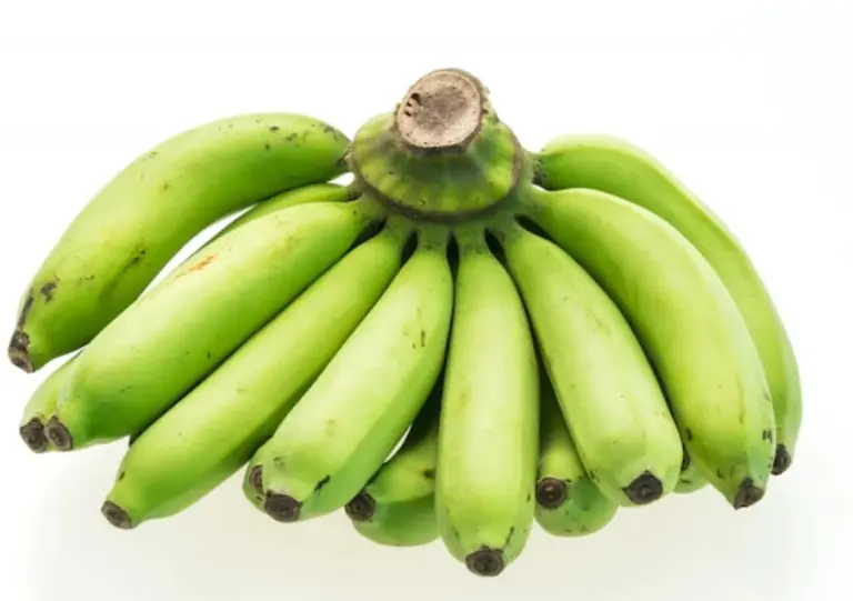 Jaga Lambung Sehat: 5 Makanan yang Baik untuk Kesehatan Pencernaanmu