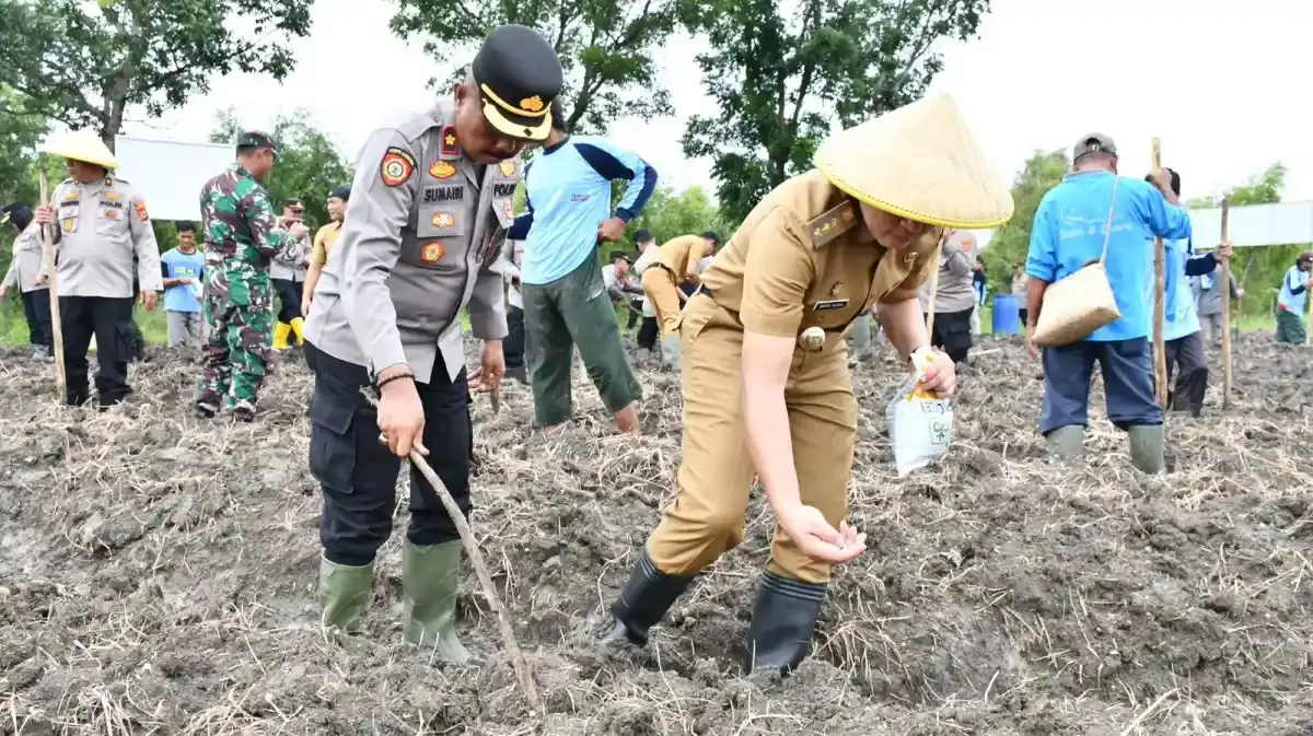 Pemkab Cirebon Dorong Swasembada Pangan