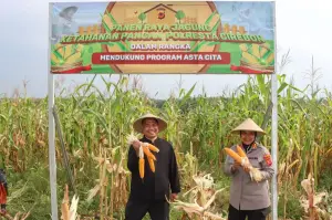 Panen Raya 15 Ton Jagung , Polresta Cirebon Wujudkan Swasembada Pangan