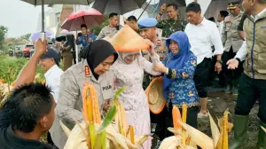 Bupati Apresiasi Polresta Cirebon, Panen Raya Jagung  Bukti Ketahanan Pangan