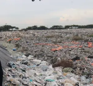 DLH Butuh 500 Kontainer dan 200 Armada untuk Atasi Sampah